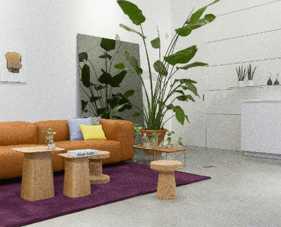 1xBet Android APK Download